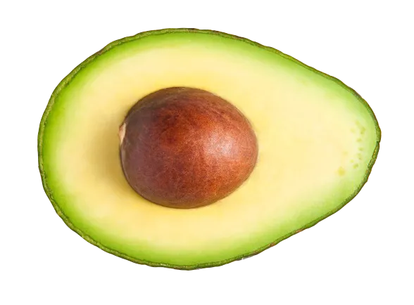 avocado
